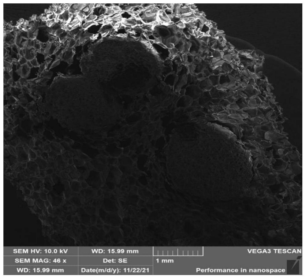 一種改性可發(fā)性聚苯乙烯顆粒、制備方法及其應(yīng)用