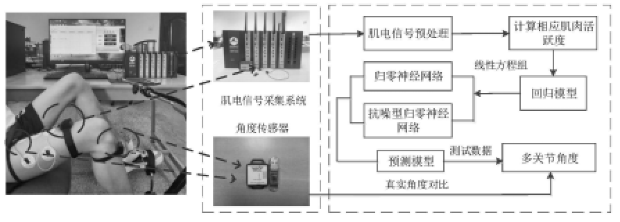 一種基于表面肌電信號的下肢多關(guān)節(jié)角度估計方法